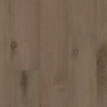 Somber Oak