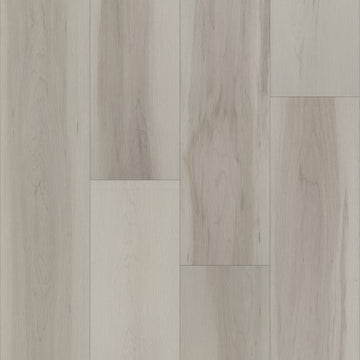 Silver Maple