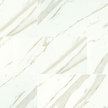 Calacatta - 12x24 Matte
