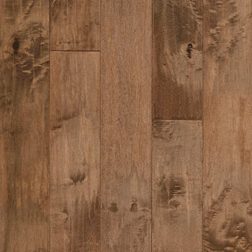 Gold Rush Maple