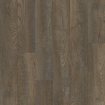Turkey Oak
