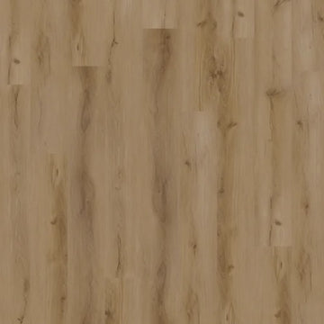 Macadamia