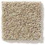 Acadia Park Flooring by Anderson Tuftex